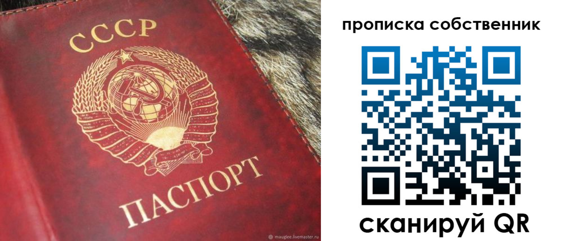 прописка в квартире в Батайске